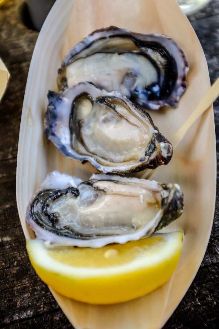 te-matuku-oyster-festival-12